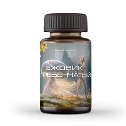 ЕЖОВИК ГРЕБЕНЧАТЫЙ