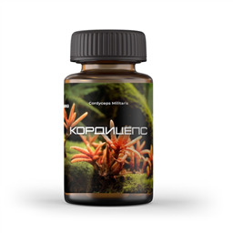 КОРДИЦЕПС № 90